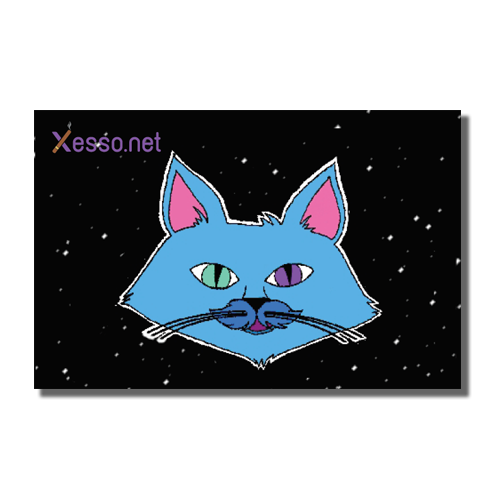 Space Cat Xesso.net
